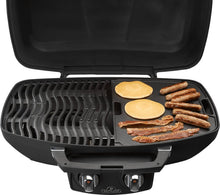 Load image into Gallery viewer, Napoleon "TravelQ" Cast Iron Reversible Griddle