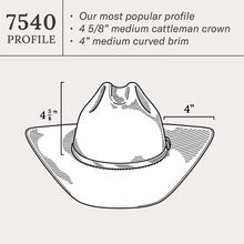 Load image into Gallery viewer, Stetson "Skyline"