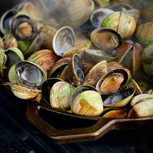 Load image into Gallery viewer, Ironclad "The Grande Set " 36cm Pan & Grill