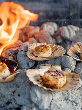 Load image into Gallery viewer, "Fire Kitchen" - Adam Roberts