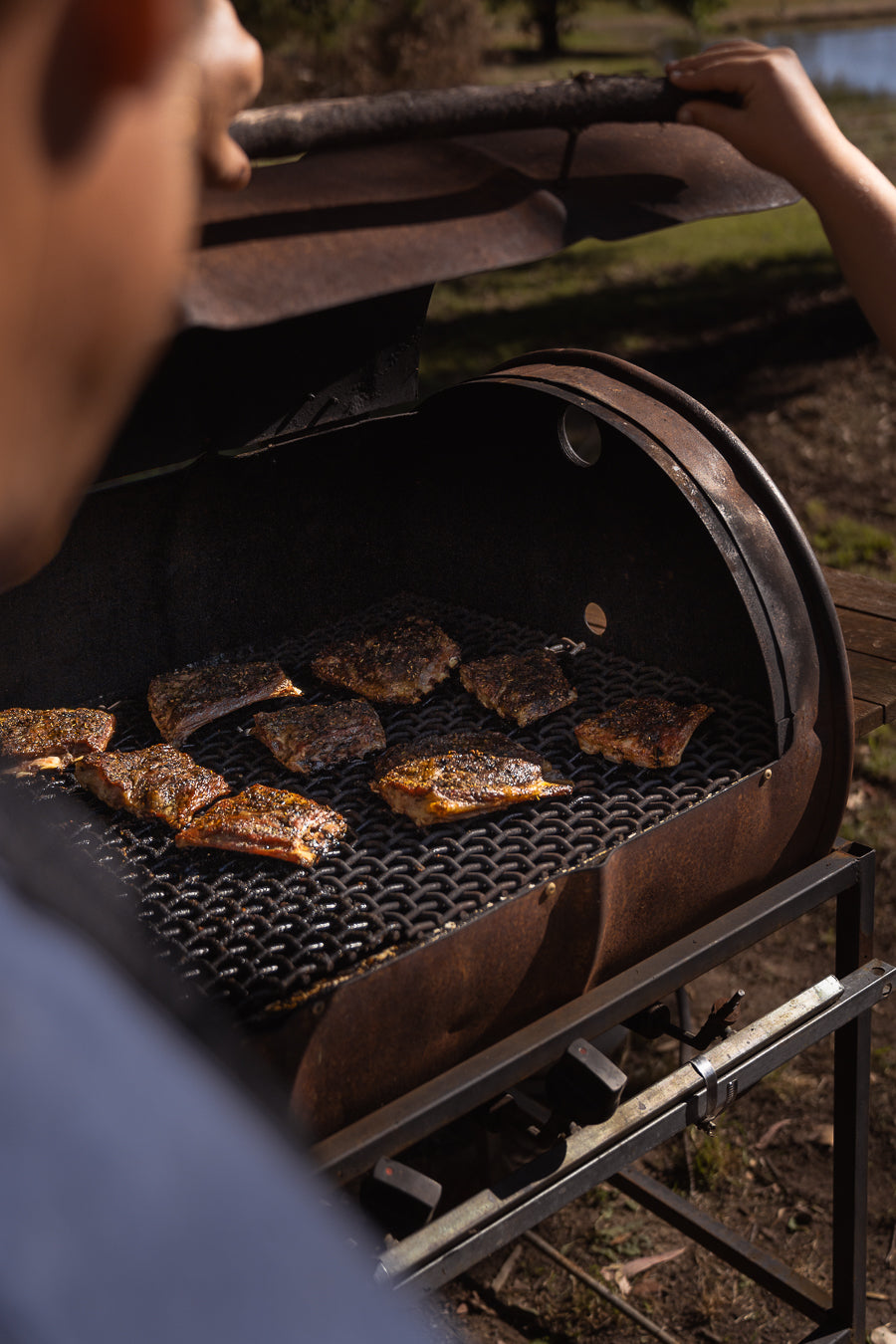 Carnivore Collective