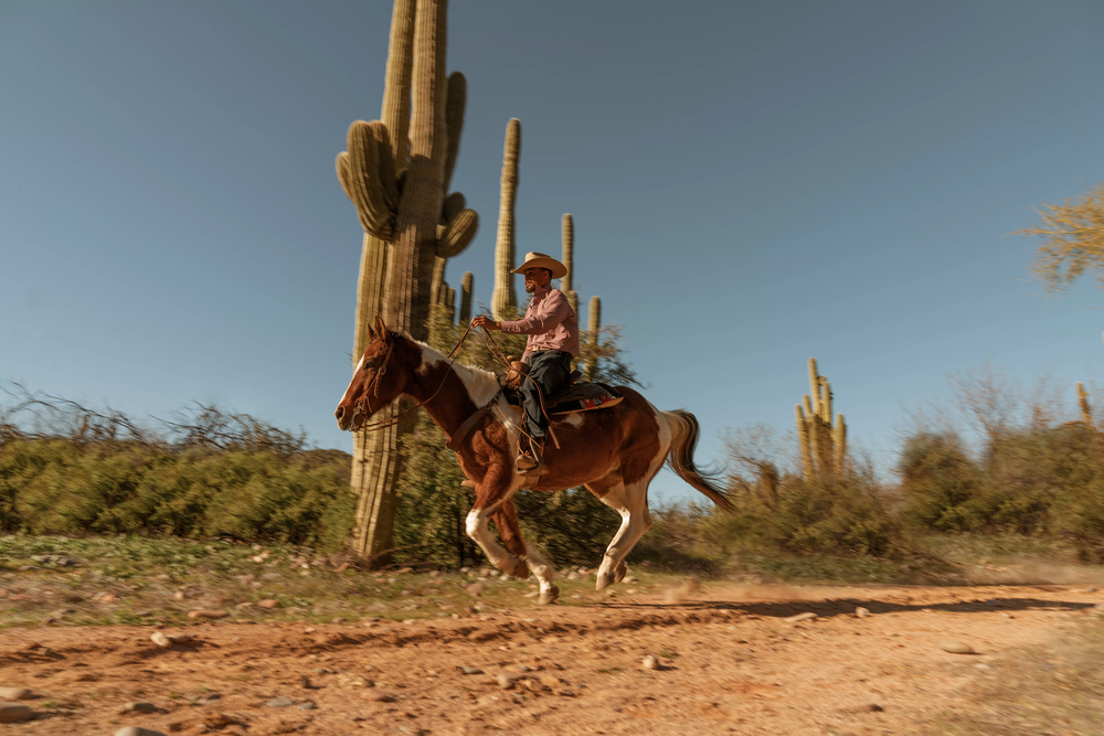 Stetson