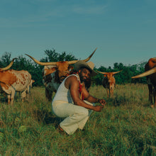 Load image into Gallery viewer, Stetson &quot;Skyline&quot;
