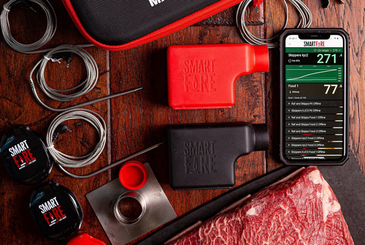 Smartfire BBQ Controller 5.0 Summer Pack